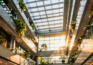 From Startup to Enterprise: How to Scale Without Losing Your Agility
